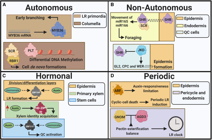 Figure 2