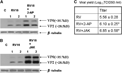 Figure 9.