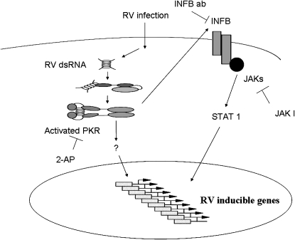 Figure 10.