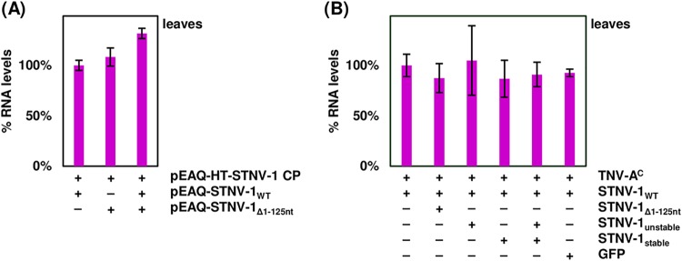 FIG 5