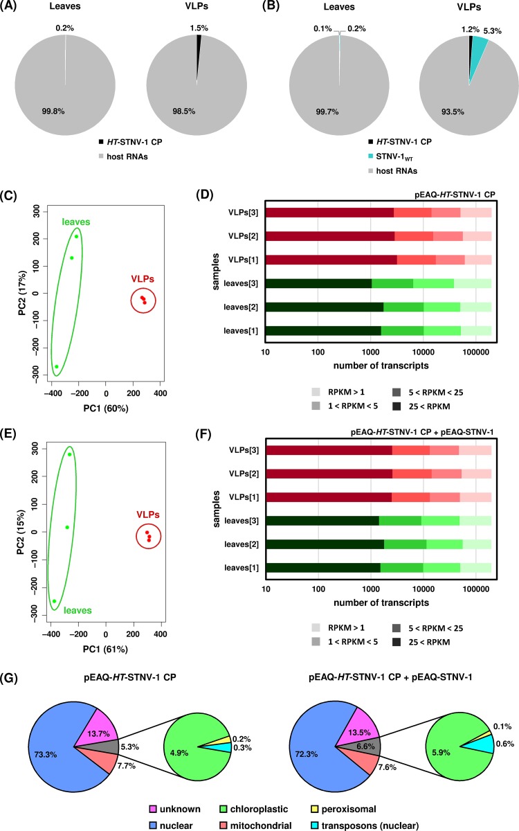 FIG 2