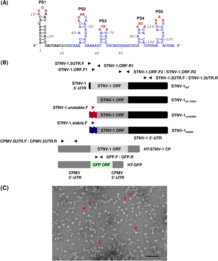 FIG 1