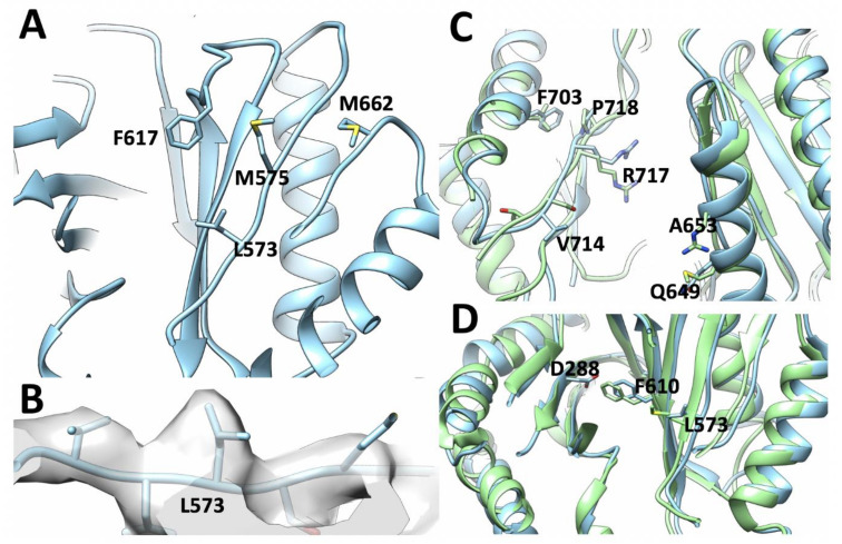 Figure 5