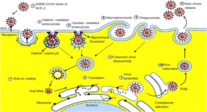 FIGURE 3