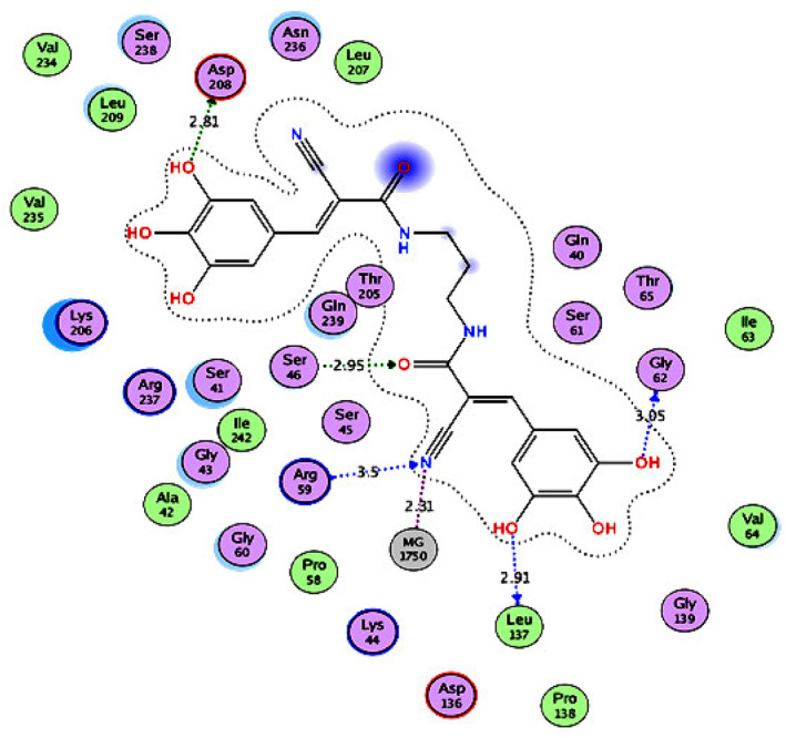 FIGURE 9