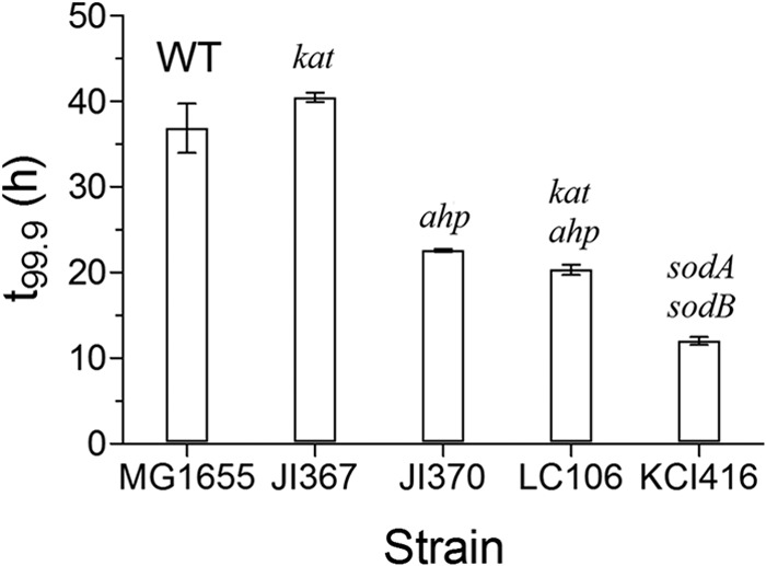 FIG 2