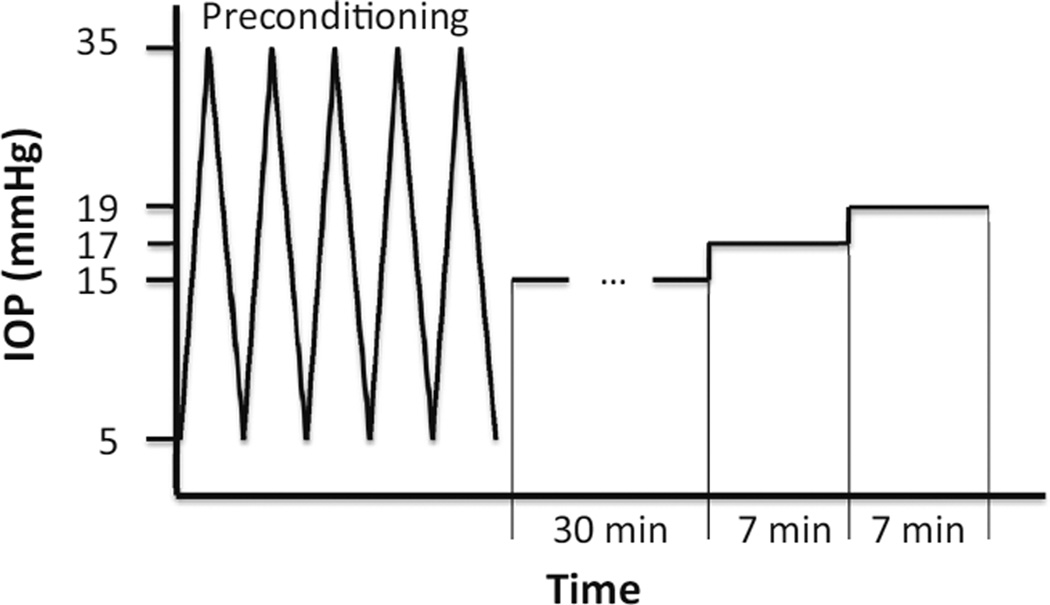 FIGURE 3