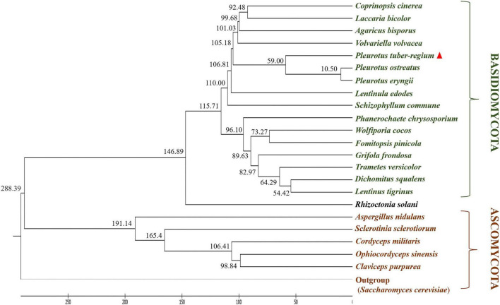 FIGURE 6