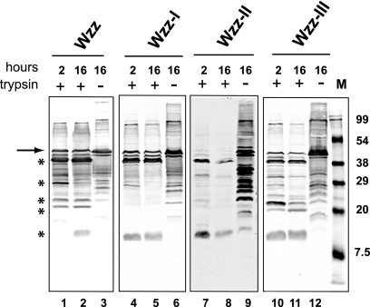 FIG. 7.