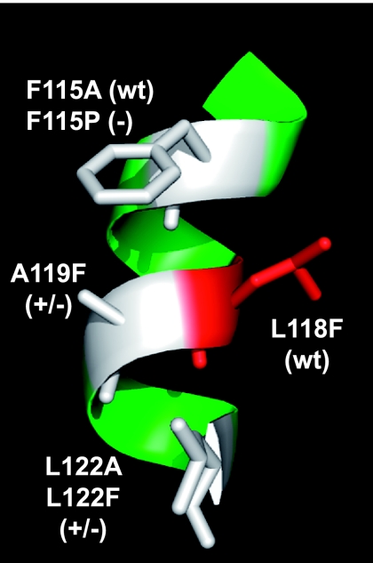 FIG. 6.