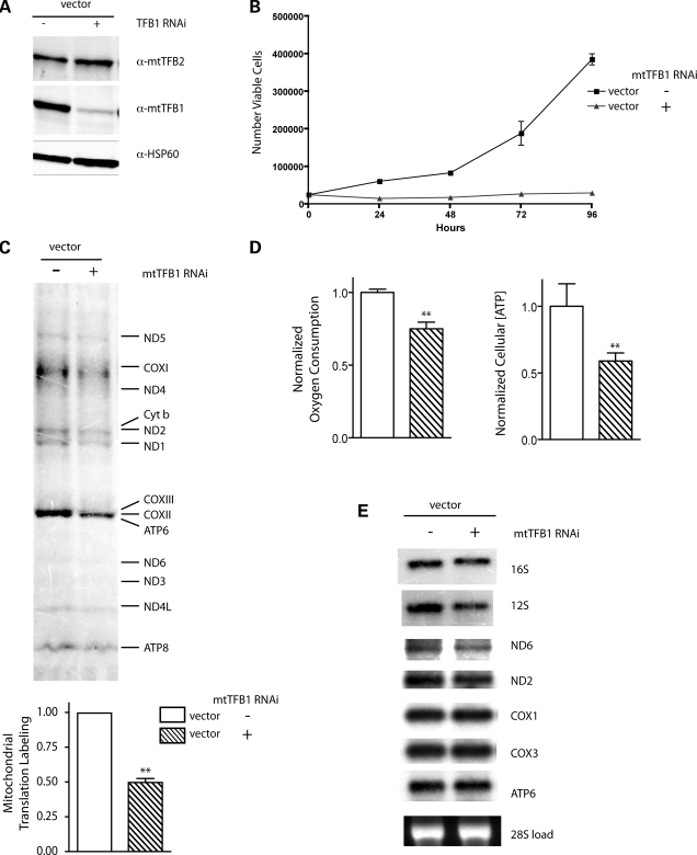 Figure 4.