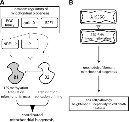 Figure 6.