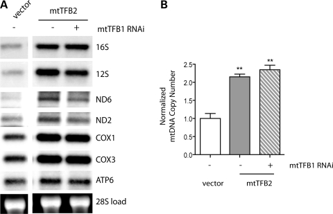 Figure 3.