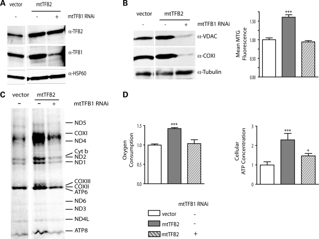 Figure 2.