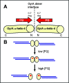FIG. 4.