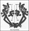 FIG. 2.