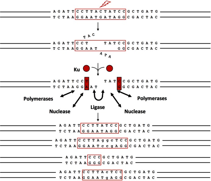 Figure 4.