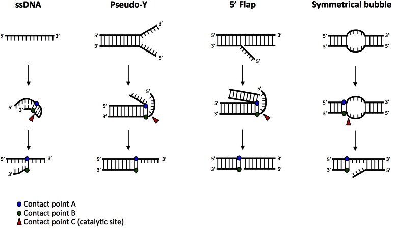 Figure 2.