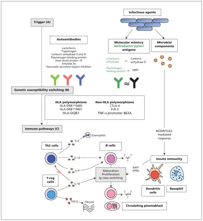 Figure 1: