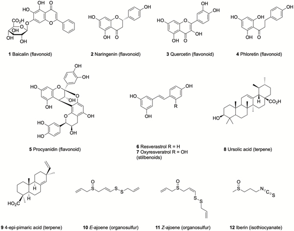 Figure 1.