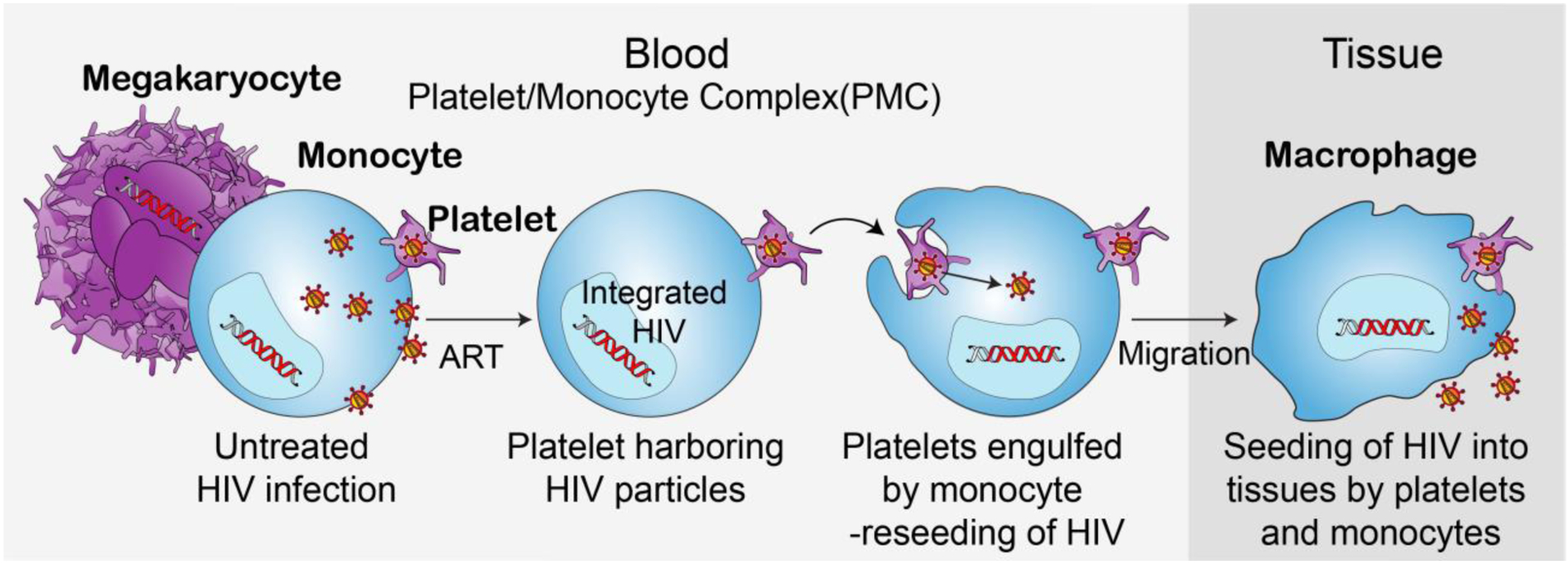 Figure 2: