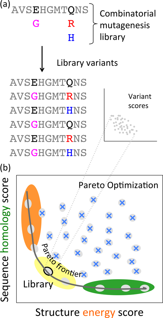 Fig. 1: