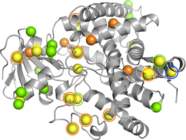 Fig. 6: