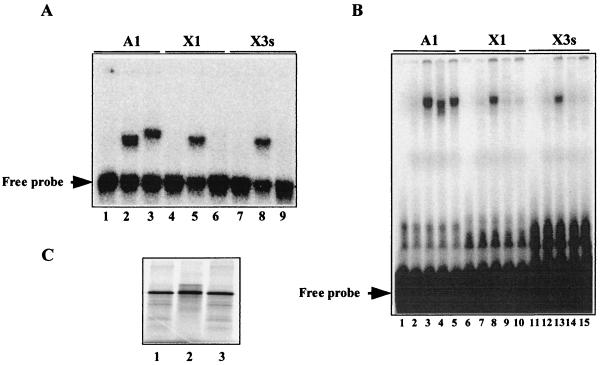 FIG. 5