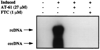 FIG. 5