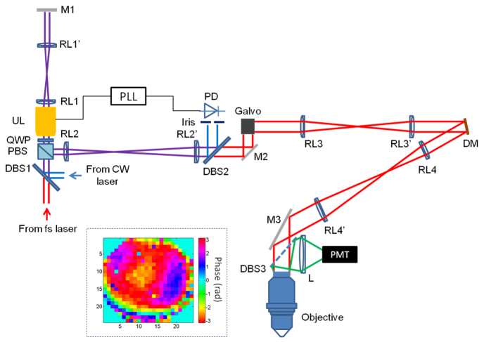 Fig. 1