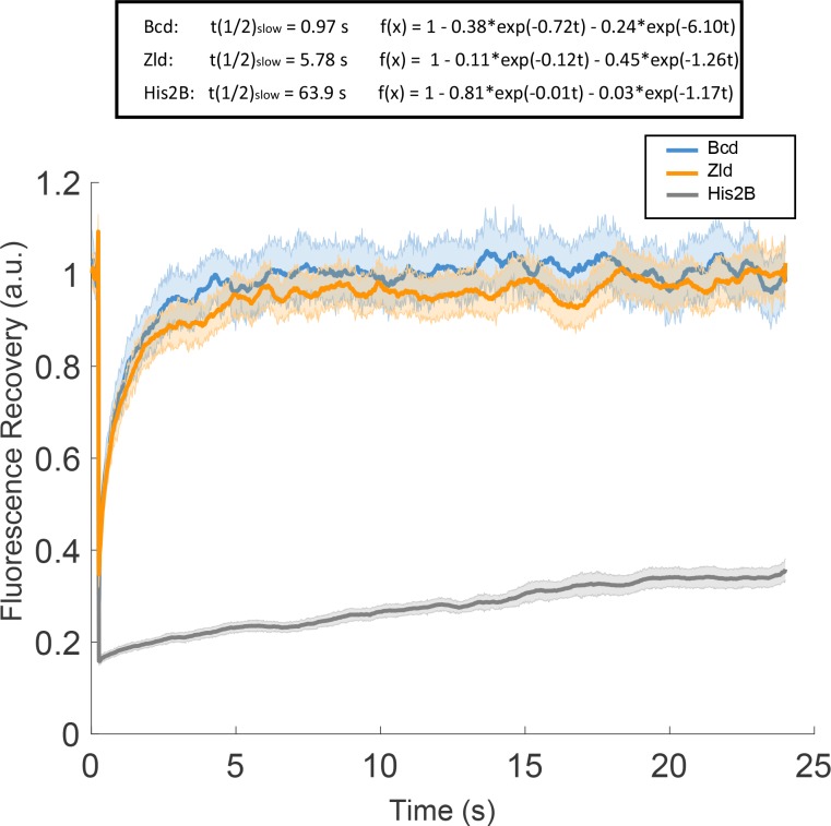 Figure 2—figure supplement 1.