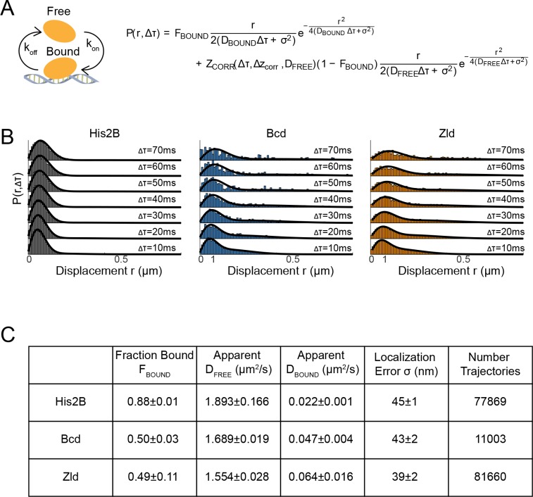 Figure 3—figure supplement 1.