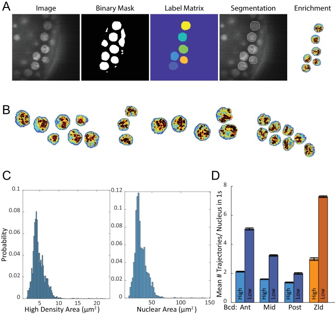 Figure 6—figure supplement 1.