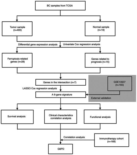 Figure 1.