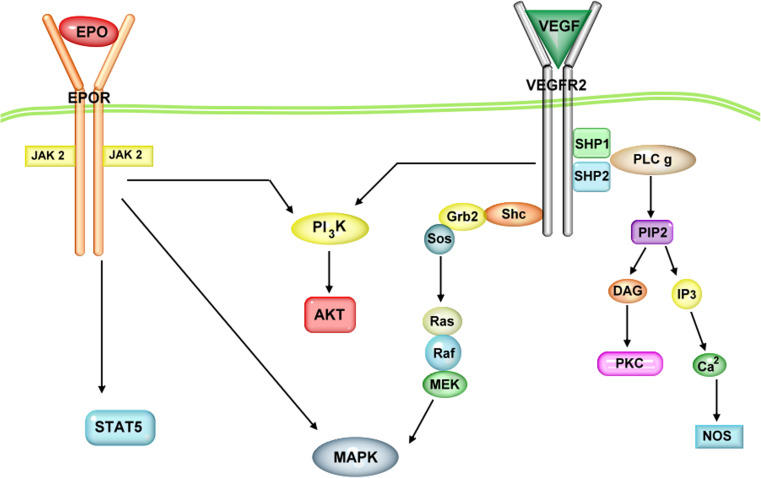 Fig. 3