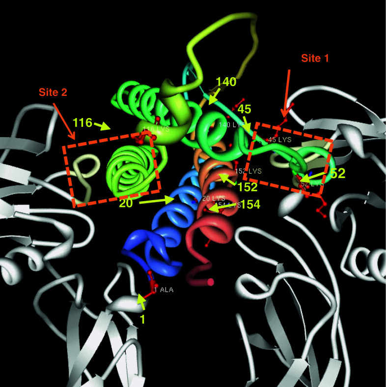 Fig. 2