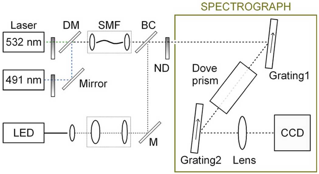 Fig. 2