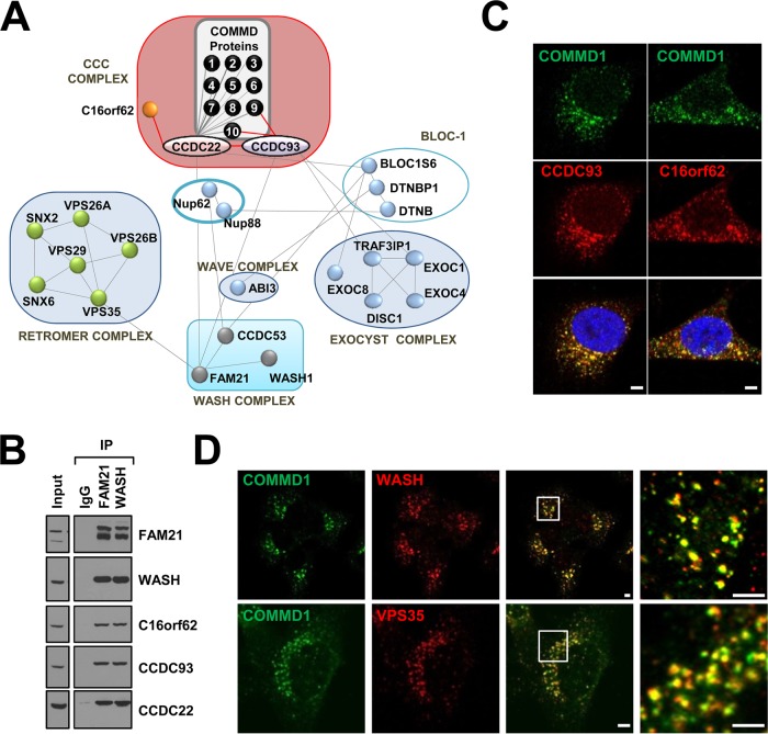 FIGURE 3: