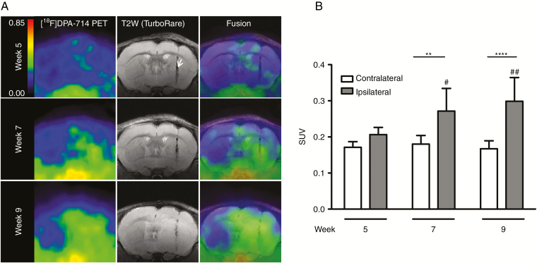 Fig. 4