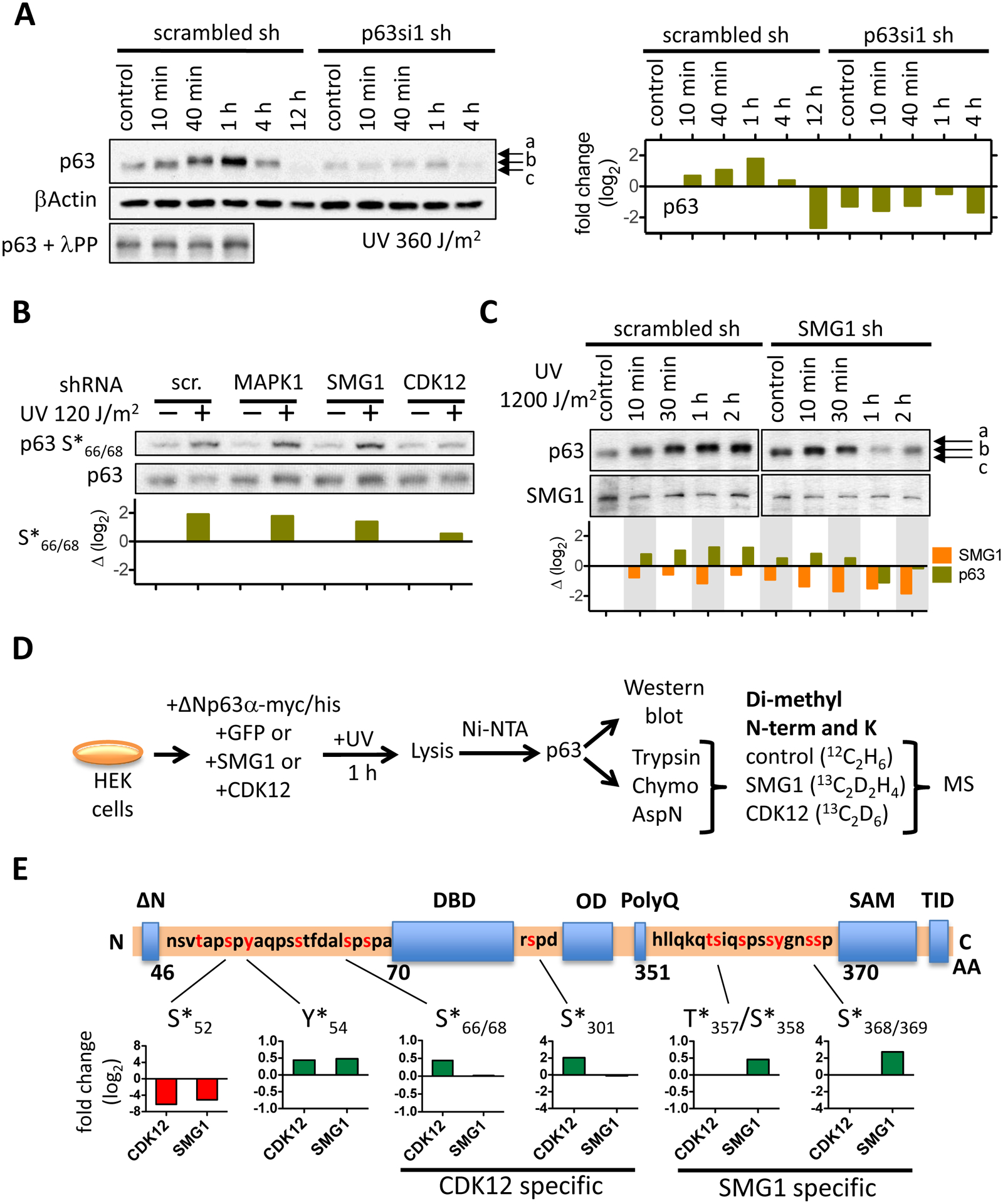 Figure 2: