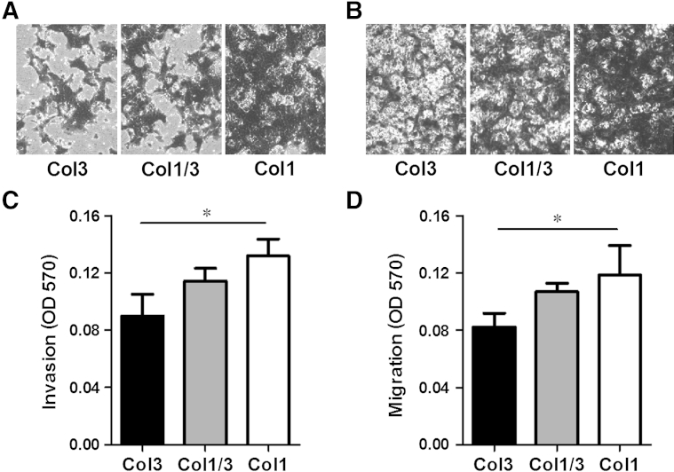 Figure 6