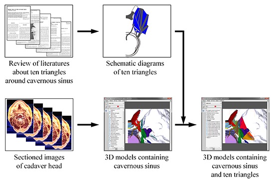 graphic file with name jkms-31-1455-ab001.jpg