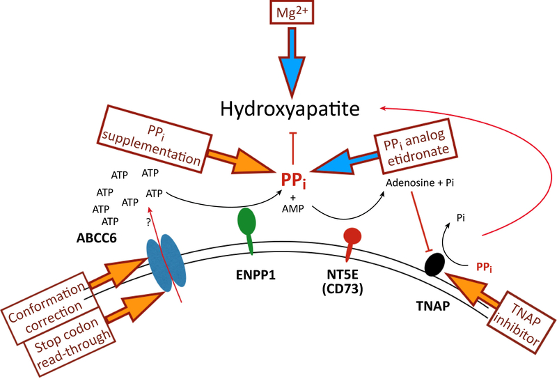 Figure 6.