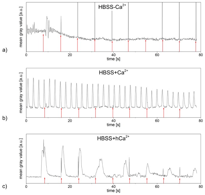 Fig. 7