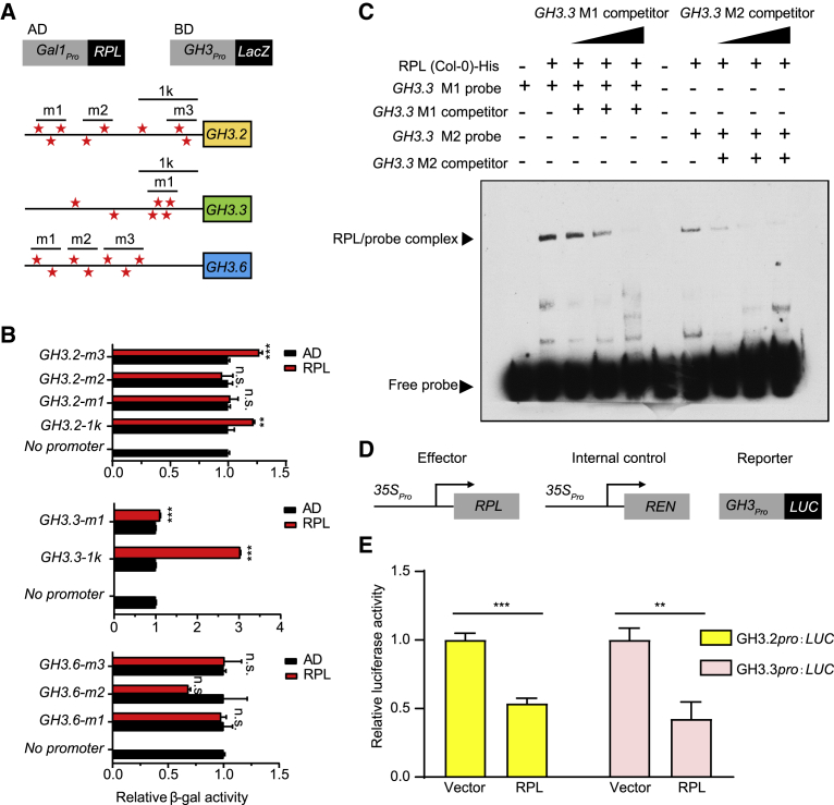 Figure 4