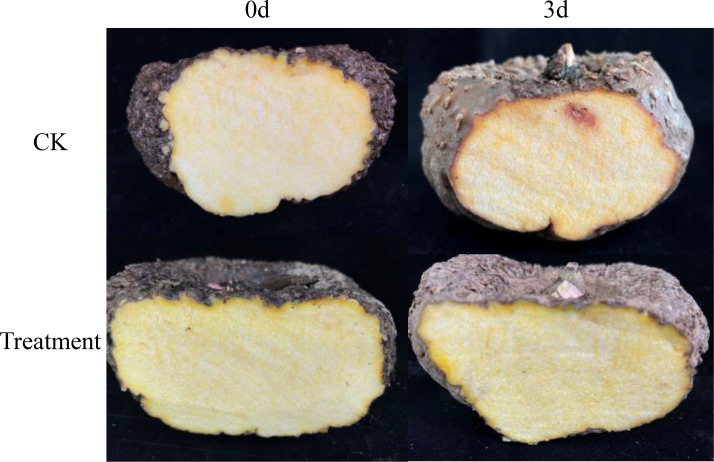 Figure 1