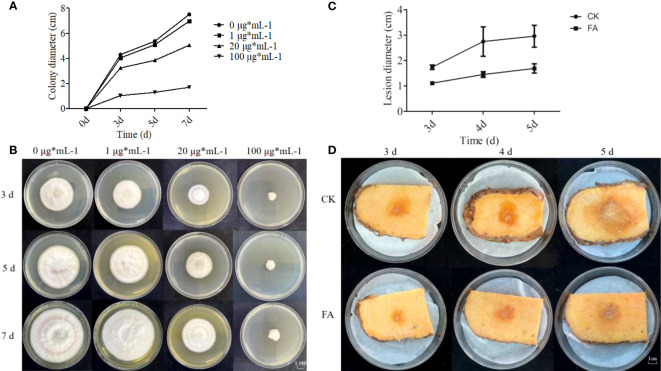 Figure 10