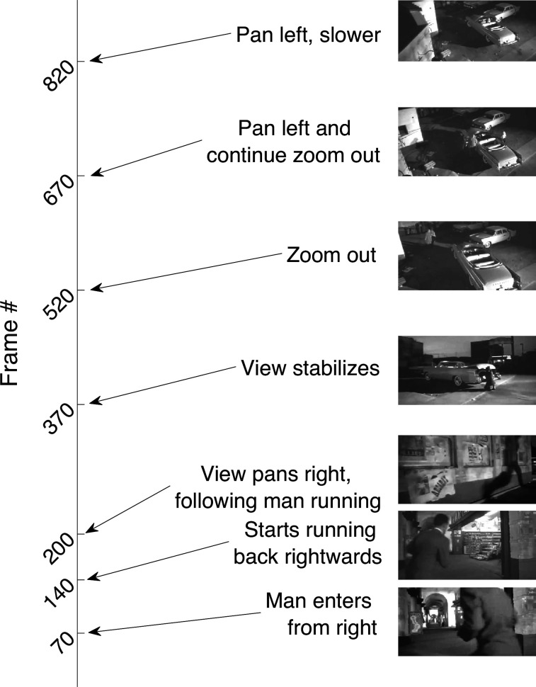 Figure 1—figure supplement 1.