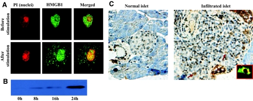 FIG. 3.