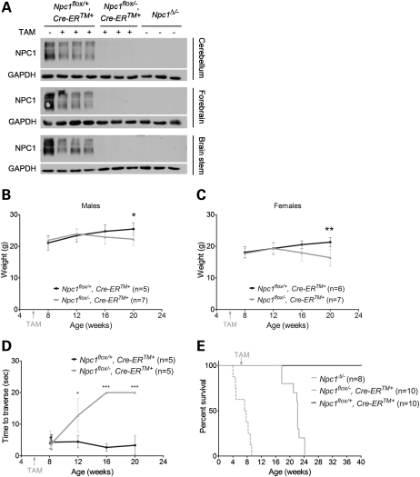 Figure 1.